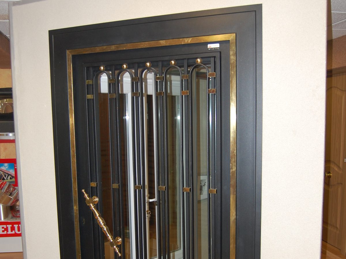 Puerta de entrada con panel de vidrio